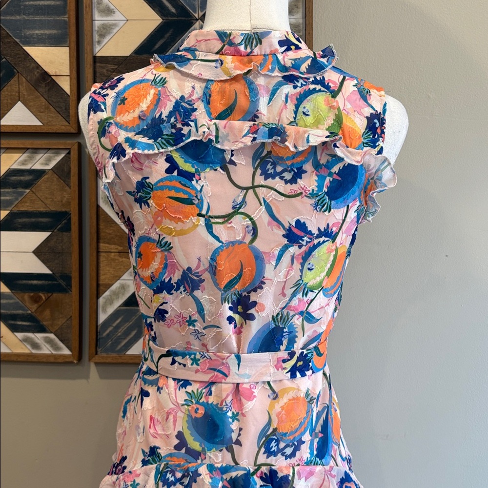 SALONI Floral Ruffle Button Down Tie Mini Dress size 0 - Picture 6 of 11